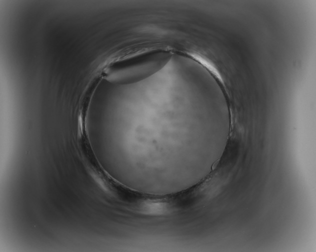 X0000085290061200703091419