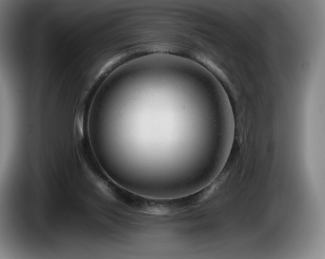 X0000085290062200703091419