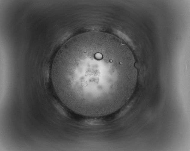 X0000085290065200703091419