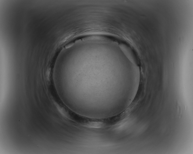 X0000085290066200703091419