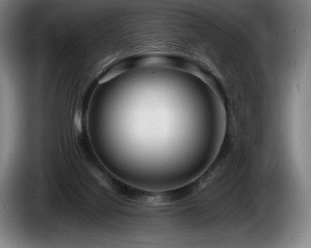 X0000085290068200703091419