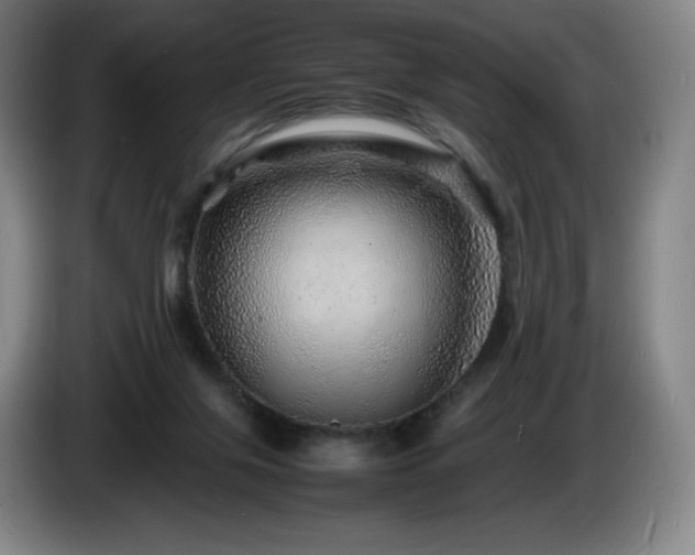 X0000085290071200703091419