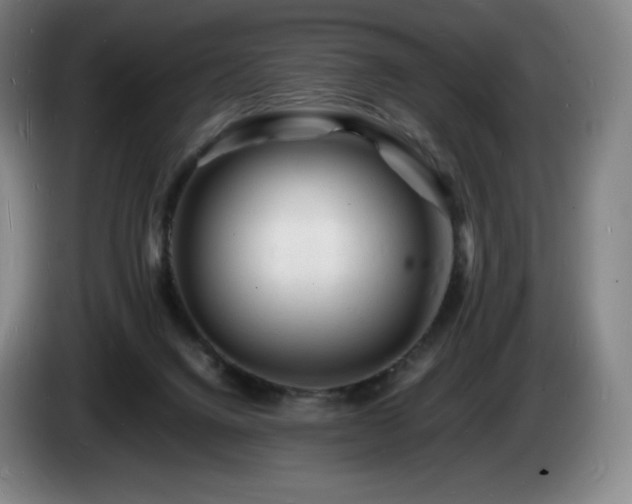 X0000085290072200703091419