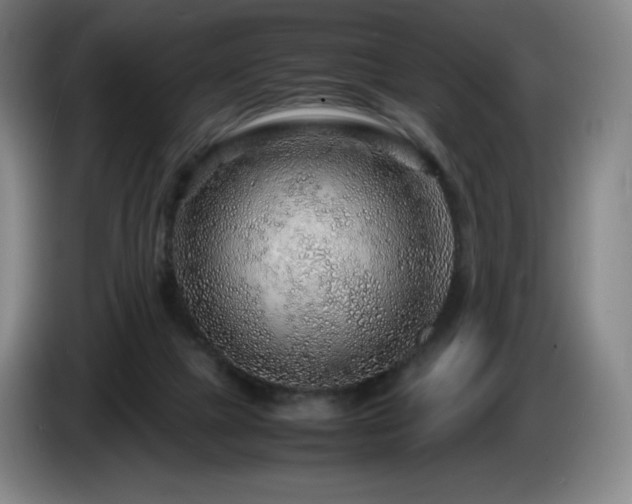 X0000085290073200703091419