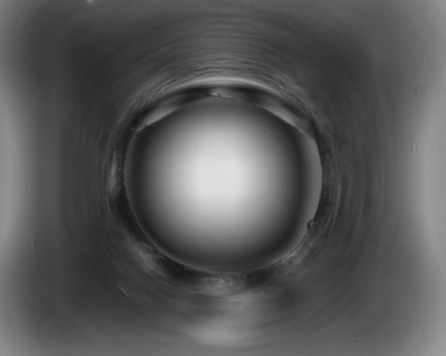 X0000085290074200703091419