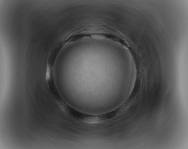 X0000085290075200703091419