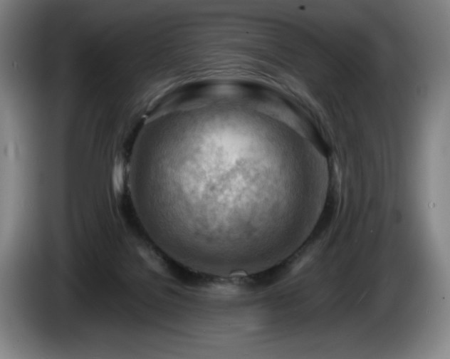 X0000085290076200703091419