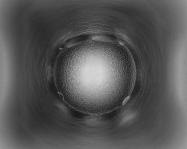 X0000085290077200703091419