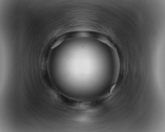 X0000085290078200703091419