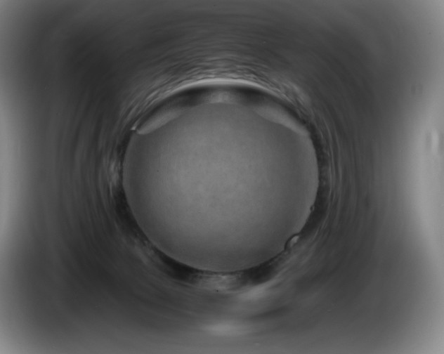 X0000085290081200703091419