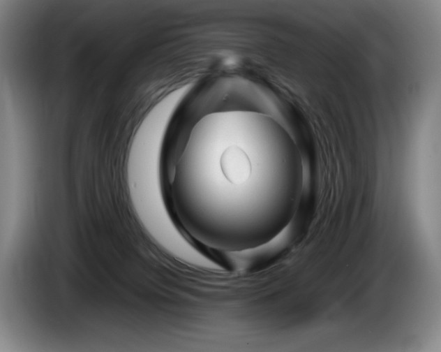 X0000085290084200703091419