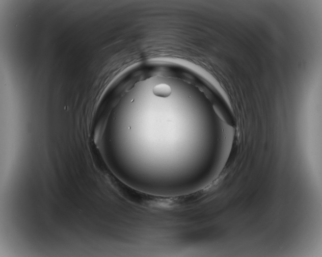 X0000085290086200703091419