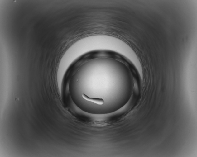 X0000085290088200703091419