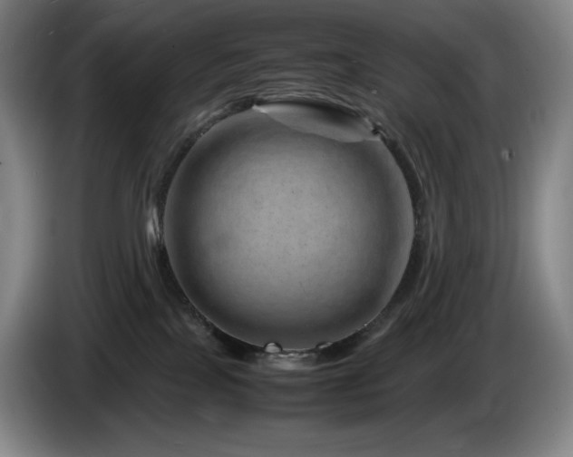 X0000085290089200703091419