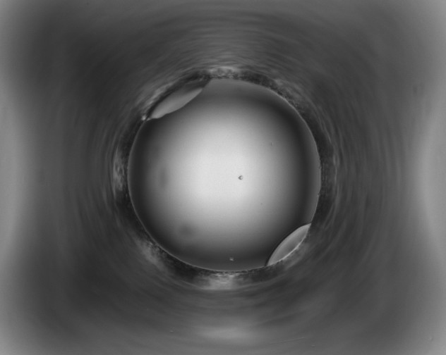 X0000085290090200703091419