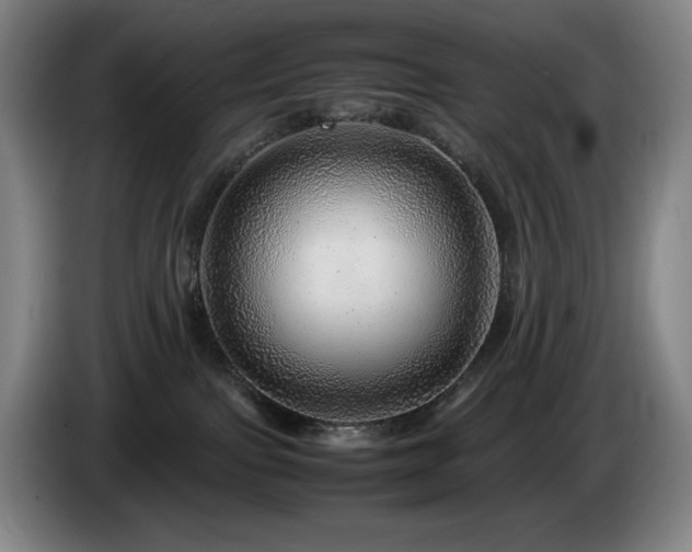 X0000085290091200703091419