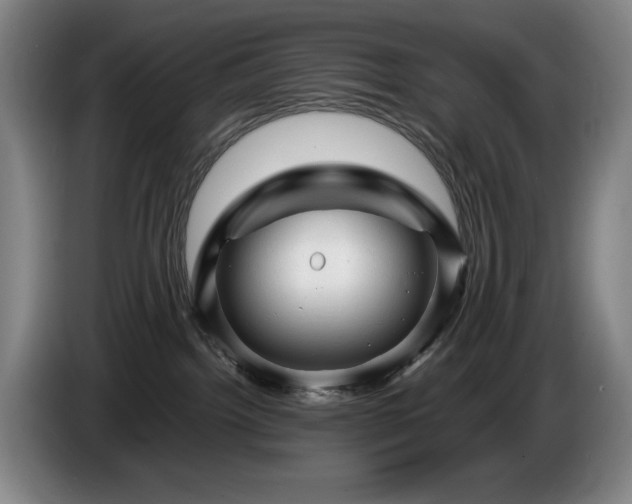 X0000085290092200703091419