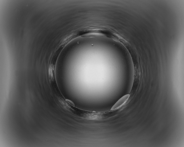 X0000085290094200703091419