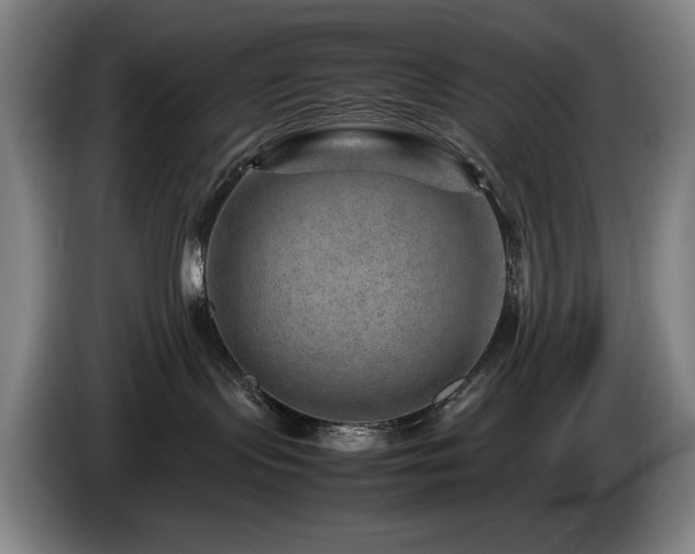 X0000085290095200703091419