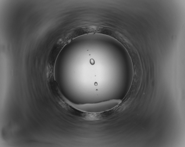 X0000085290096200703091419