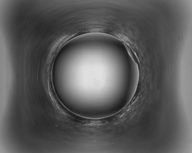 X0000085290097200703091418