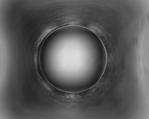 X0000085290098200703091418