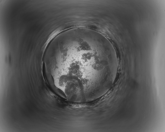 X0000085290099200703091418