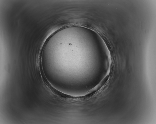 X0000085290100200703091418