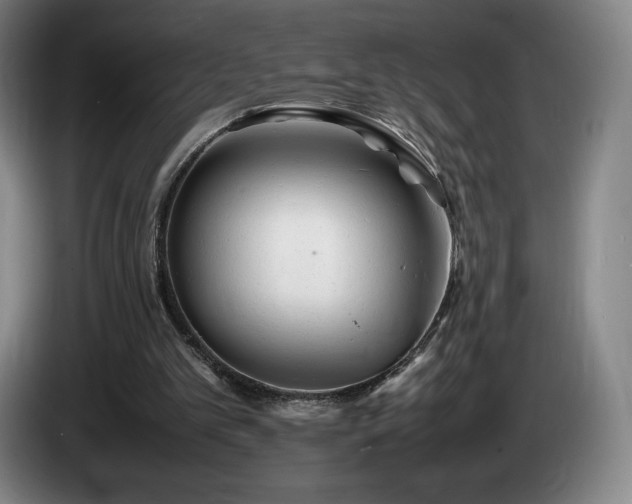 X0000085290101200703091418