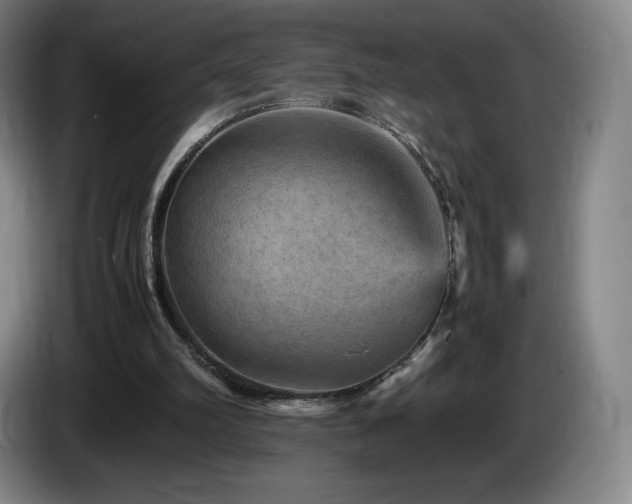 X0000085290102200703091418