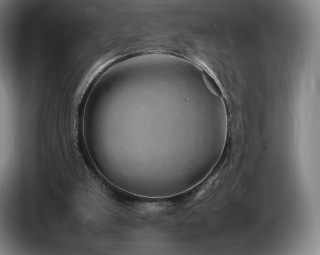 X0000085290103200703091418