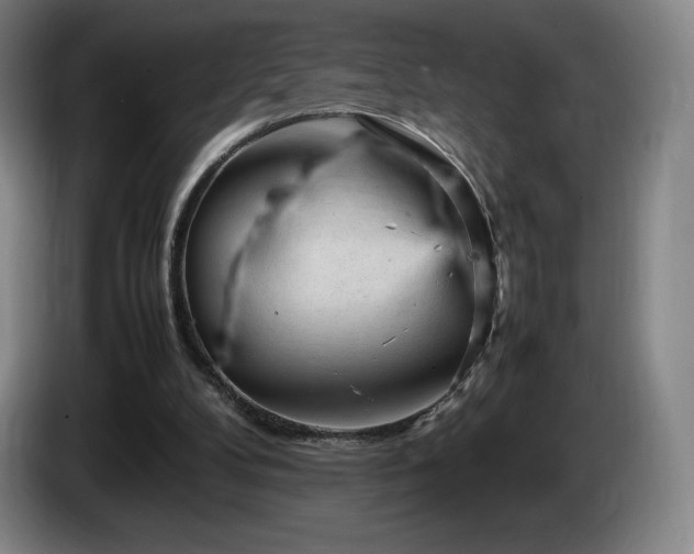 X0000085290104200703091418