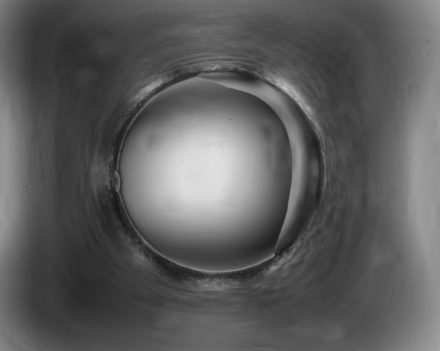 X0000085290105200703091418