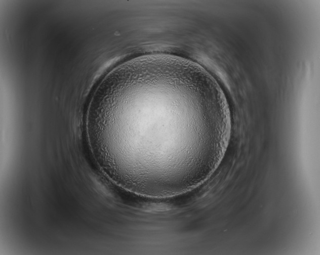 X0000085290107200703091418