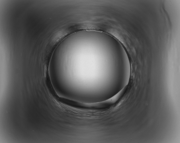 X0000085290109200703091418