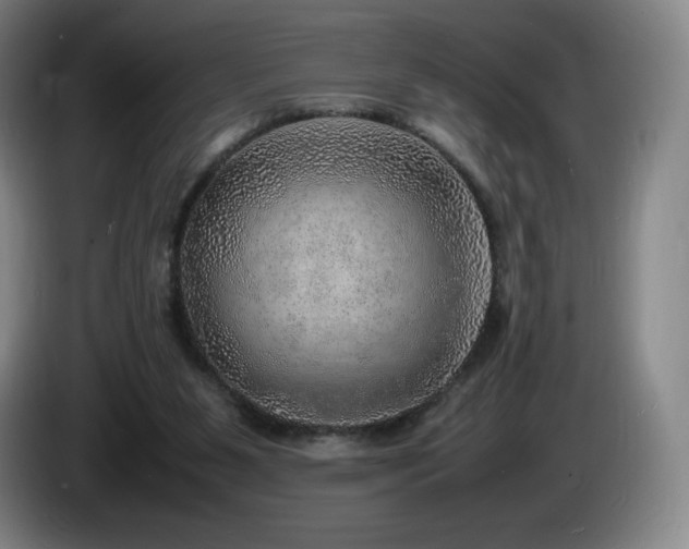 X0000085290111200703091418