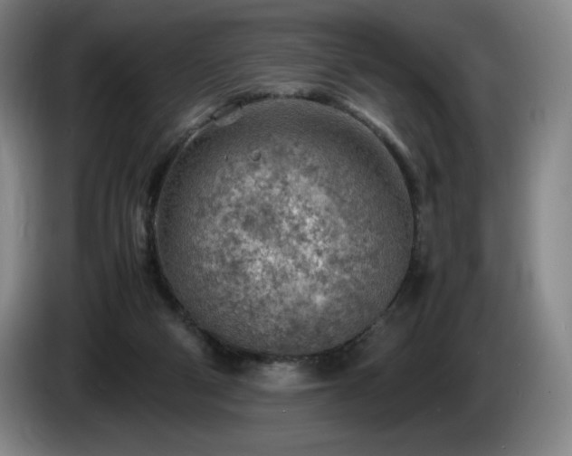 X0000085290114200703091418