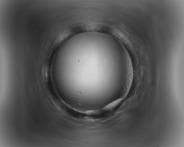 X0000085290115200703091418