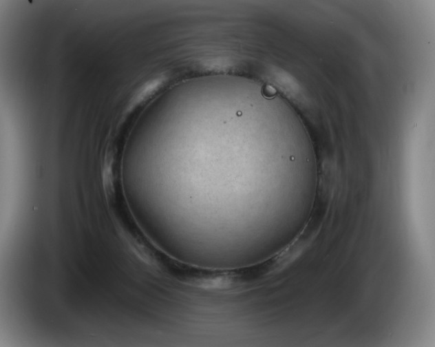 X0000085290116200703091418