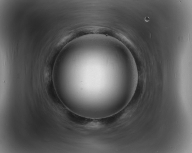 X0000085290119200703091418