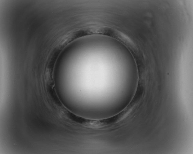 X0000085290121200703091418