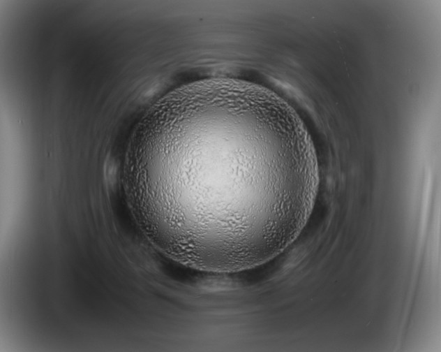 X0000085290123200703091418