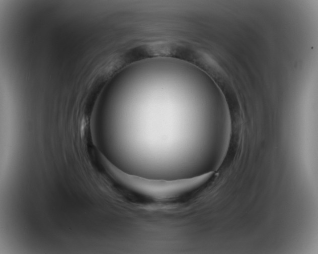 X0000085290125200703091418