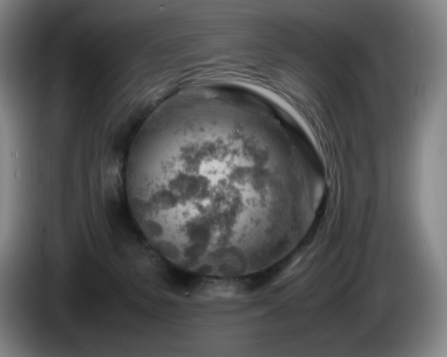 X0000085290127200703091418