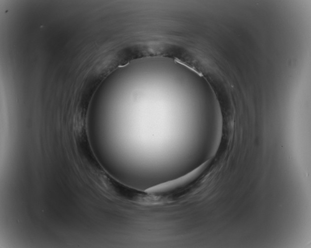 X0000085290129200703091418