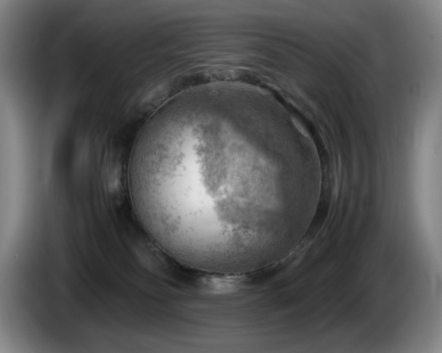 X0000085290134200703091418