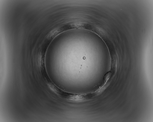 X0000085290140200703091418