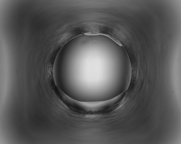 X0000085290141200703091418