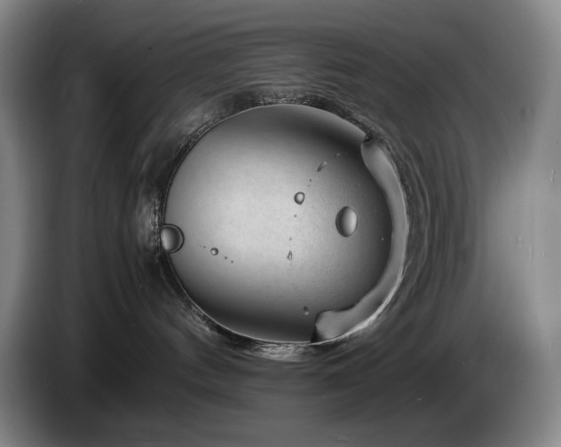 X0000085290144200703091418