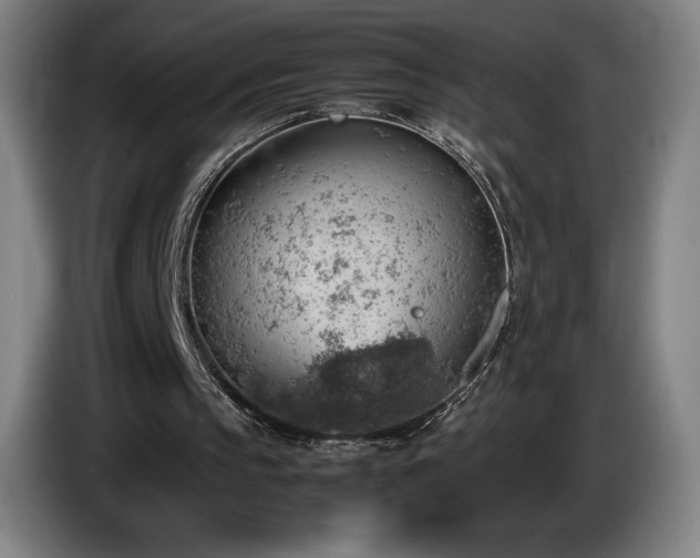 X0000085290145200703091417